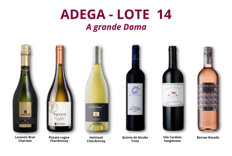 copia de adega lote 15